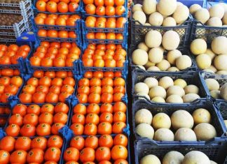 صادرات میوه ۱۷درصد رشد کرد