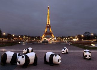 چین چطور راه خود را به اروپا باز کرده است؟