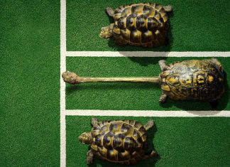 چه زمانی رقابت بین همکاران، به رفتارهای غیراخلاقی منجر میشود