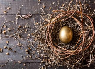 چگونه روی توسعه منابع انسانی سازمان، سرمایهگذاری کنیم؟