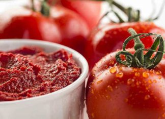 صادرات رب گوجهفرنگی تا اول دی ماه بلامانع است صادرات رب گوجهفرنگی تا اول دی ماه بلامانع است