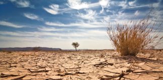 تبعات تغییر اقلیم؛ آیا ایران تغییرات اقلیمی را جدی میگیرد؟