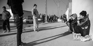 نصف بیکاران کشور 15 تا 29 ساله هستند