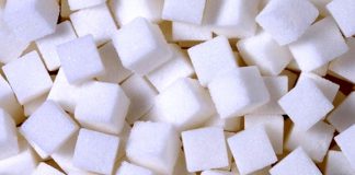 بدون رشد بهرهروی صنعت قند تعطیل میشود