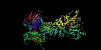 «دیپمایند» ساختار پروتئینها در دنیای پزشکی را دگرگون میکند؟