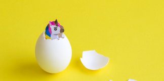 چطور بفهمید ایده استارت آپی شما درست است؟ استارت آپ