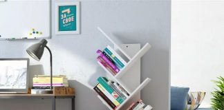 شگفت انگیز ترین درخت چوبی در ایران شگفت انگیز ترین درخت چوبی در ایران