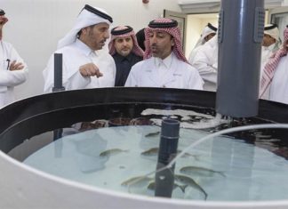 عربستان و قطر، رکورددار جذب سرمایهگذاری خارجی در منطقه شدند عربستان و قطر، رکورددار جذب سرمایهگذاری خارجی در منطقه شدند