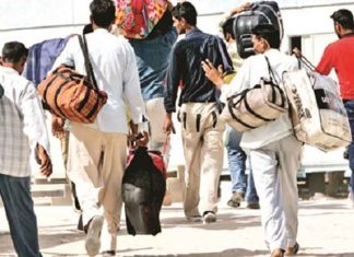 افزایش مهاجرت نیروی کار به عراق افزایش مهاجرت نیروی کار به عراق