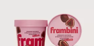 فرامبینی؛ تلفیقی از هنر و شیرینی برای لحظات ناب شما دسر تمشک فرامبینی(frambini)؛ تلفیقی از هنر و شیرینی برای لحظات ناب شما