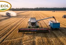 Oreol پیشرو در تولید و توزیع عمده محصولات کشاورزی با کیفیت بالا Oreol پیشرو در تولید و توزیع عمده دانه و بذر محصولات کشاورزی با کیفیت بالا