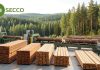 Secco، پیشگام تولید و عرضه چوب در روسیه Secco، پیشگام تولید و عرضه چوب در روسیه