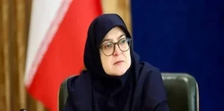 مشوقهای بانک مرکزی بازگشت ارز صادراتی را تسهیل کرد فاطمه مهاجرانی، سخنگوی دولت