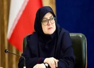 مشوقهای بانک مرکزی بازگشت ارز صادراتی را تسهیل کرد فاطمه مهاجرانی، سخنگوی دولت