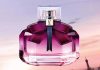معرفی چند عطر خنک زنانه با پخش بوی بالا معرفی چند عطر خنک زنانه با پخش بوی بالا